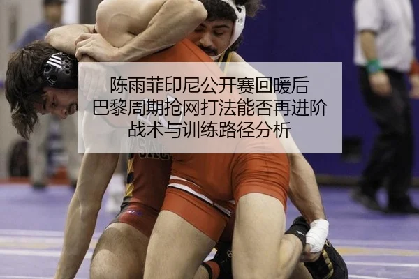 chen-yu-fei-yin-ni-gong-kai-sai-hui-nuan-hou-ba-li-zhou-qi-qiang-wang-da-fa-neng-fou-zai-jin-jie-zhan-shu-yu-xun-lian-2-603.jpg